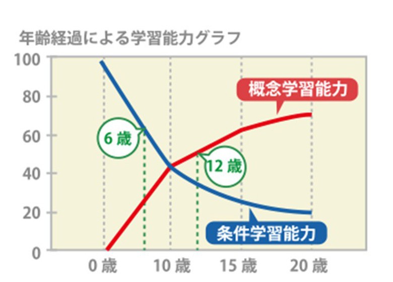 英語教育 光泉カトリック幼稚園 滋賀県草津市の私立幼稚園