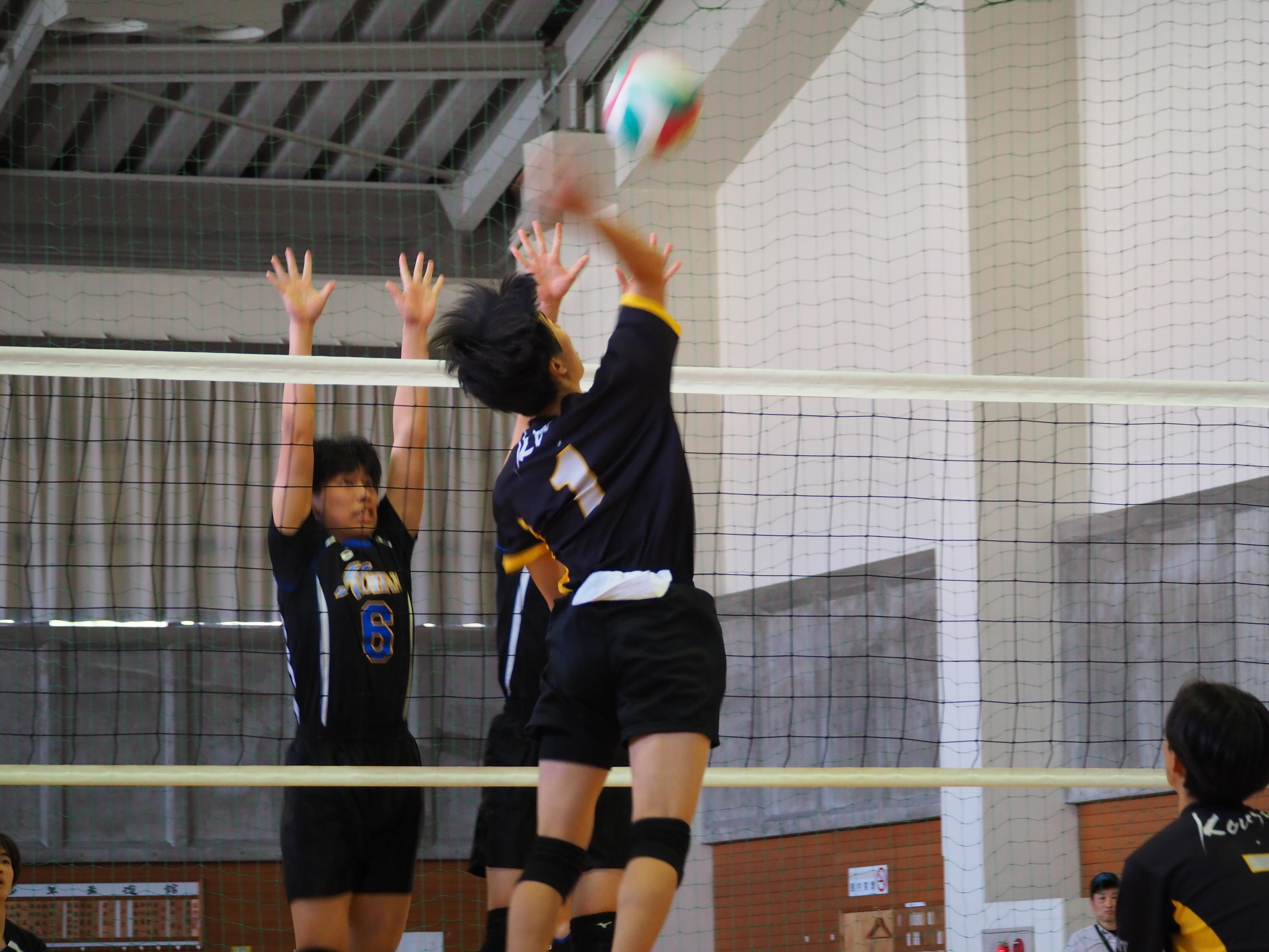 P4290367.JPG